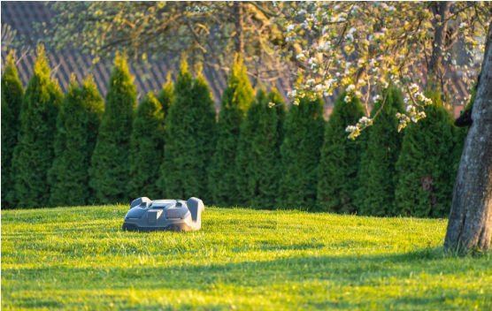 Robotic lawn mower